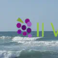 Vacation apartment rentals in Italy